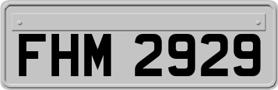 FHM2929