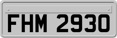 FHM2930