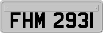 FHM2931