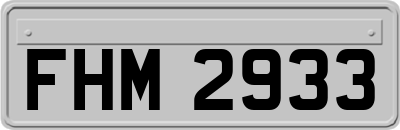 FHM2933