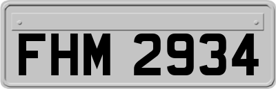FHM2934