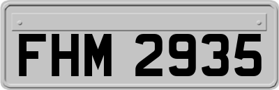 FHM2935