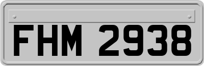 FHM2938