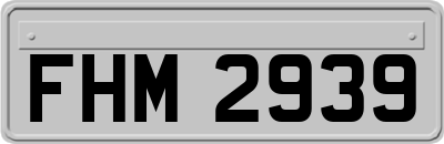FHM2939