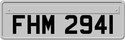 FHM2941