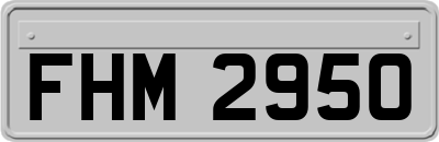 FHM2950