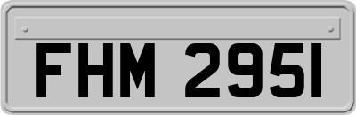 FHM2951