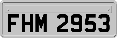 FHM2953