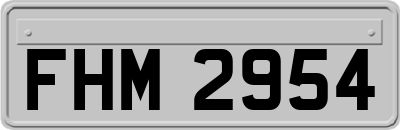 FHM2954