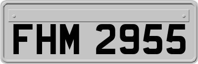 FHM2955