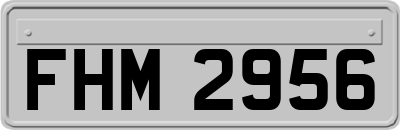 FHM2956
