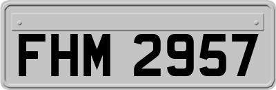 FHM2957