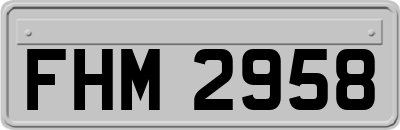 FHM2958
