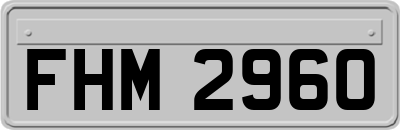 FHM2960
