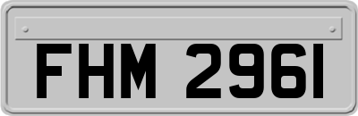 FHM2961