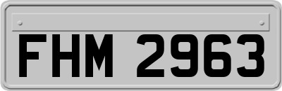 FHM2963