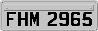 FHM2965