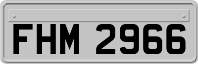 FHM2966