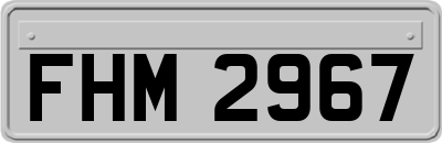 FHM2967