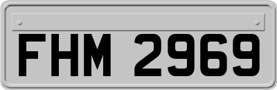 FHM2969