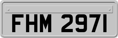 FHM2971