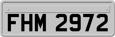FHM2972
