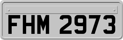 FHM2973