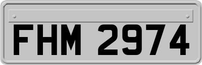 FHM2974