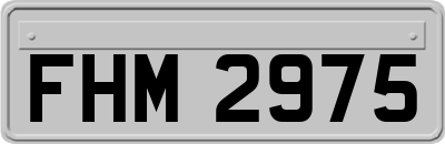 FHM2975