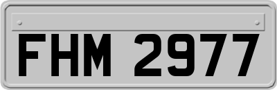 FHM2977