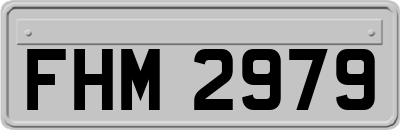 FHM2979