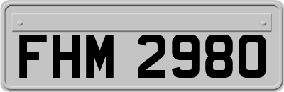FHM2980