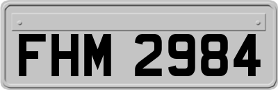 FHM2984