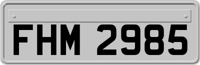 FHM2985