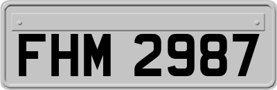 FHM2987