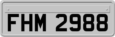 FHM2988