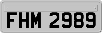 FHM2989