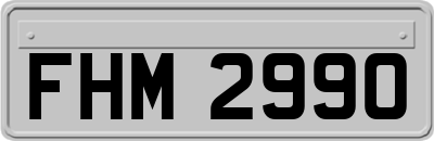 FHM2990
