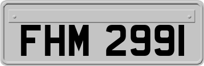 FHM2991