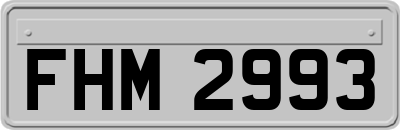 FHM2993