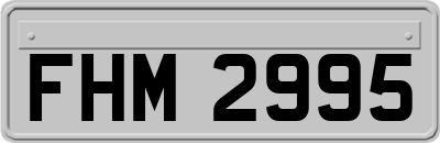 FHM2995