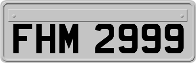 FHM2999