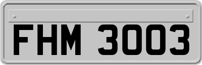 FHM3003