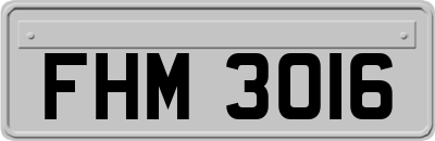 FHM3016