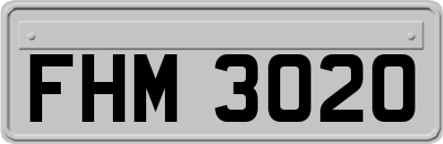 FHM3020