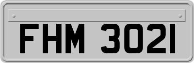 FHM3021