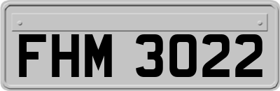 FHM3022