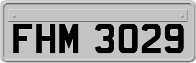 FHM3029