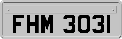 FHM3031