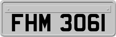 FHM3061